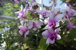 Chompu Nakarin Apartment