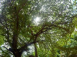 Adang Sea Divers & Eco Lodge Koh Lipe