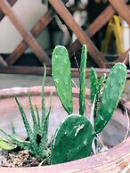 Adang Sea Divers & Eco Lodge Koh Lipe