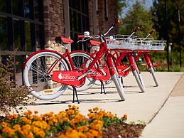 Hotel Indigo Tuscaloosa Downtown by IHG