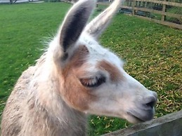 Skipbridge Farm Cottages