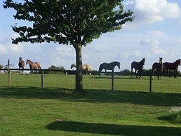 Skipbridge Farm Cottages