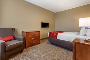 Comfort Inn & Suites Near Mt. Rushmore