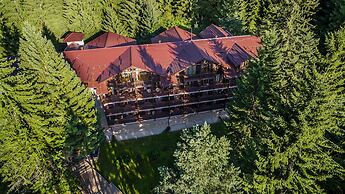 Ana Hotels Bradul Poiana Brasov