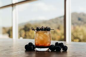 Hilton Garden Inn Asheville Downtown