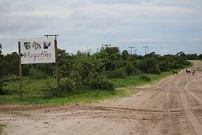 Mogotlho Safari Lodge