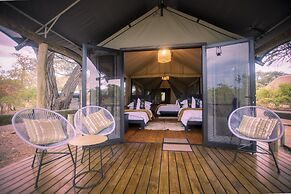 Mogotlho Safari Lodge