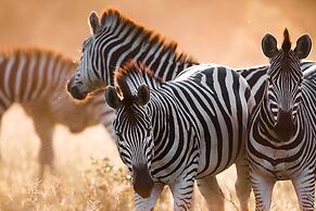 Mogotlho Safari Lodge