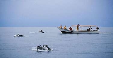 Nueva Toledo Suites & Hotel