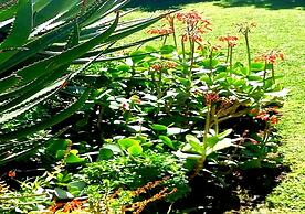 De Wingerd Wijnland Lodge