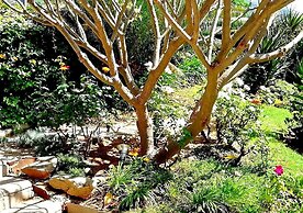 De Wingerd Wijnland Lodge