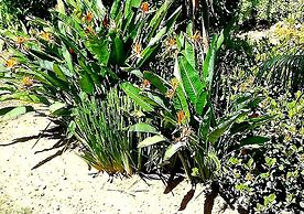 De Wingerd Wijnland Lodge