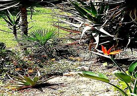 De Wingerd Wijnland Lodge