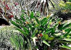 De Wingerd Wijnland Lodge