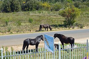 Fisherhaven Traveller's Lodge - Hostel