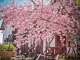 Pousada dos Esquilos