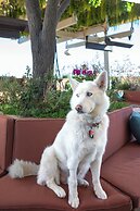 Halcyon - a hotel in Cherry Creek