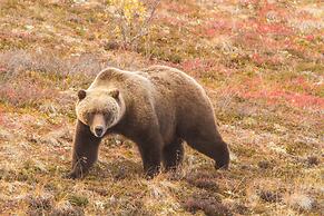 Candlewood Suites Fairbanks by IHG