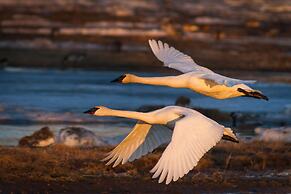 Candlewood Suites Fairbanks by IHG