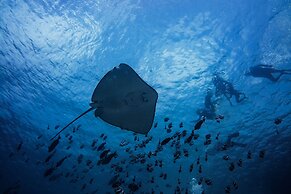 Malahini Kuda Bandos Resort