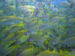 Zawadi Hotel Zanzibar - All Inclusive