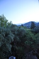 The architect's house