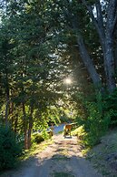 Cocos Cura Casas de Montaña