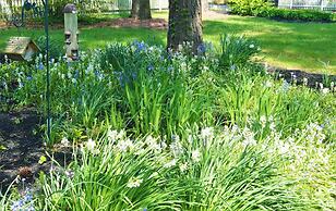 Meris Gardens Bethany