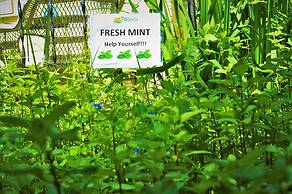 Meris Gardens Bethany