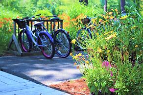 Meris Gardens Bethany