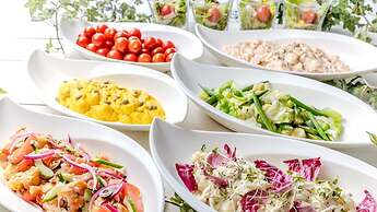 Premier Hotel Nakajima Park Sapporo