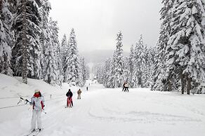 Jura Hotels Ilgaz Mountain & Resort