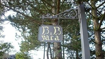 B&B Yaca