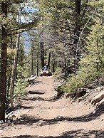 South Fork Lodge & RV Park