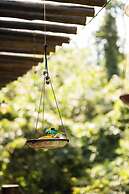 Kalango Hotel Boutique