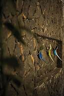 Kalango Hotel Boutique