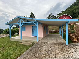 Stillo Gramado Linha Bonita