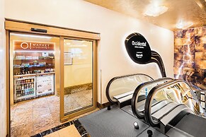 Occidental Praha Wilson