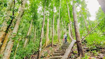 Atremaru Jungle Retreat