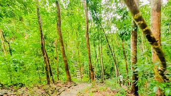 Atremaru Jungle Retreat