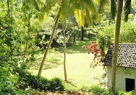 Kumara