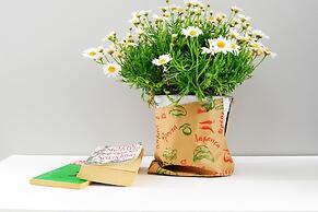 Live in Athens, Psyrri Central Apartments