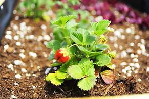 Live in Athens, Psyrri Central Apartments