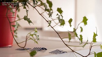 Live in Athens, Psyrri Central Apartments