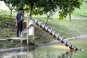 Rain Tree Khao Yai Hotel