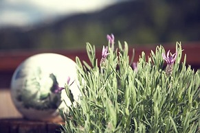 Berghotel Pointenhof