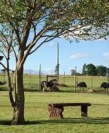 Mountain View Guest House