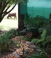 Mountain View Guest House