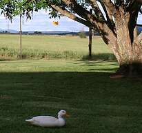 Mountain View Guest House
