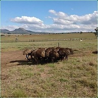 Mountain View Guest House